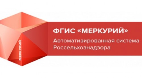 В Оренбуржье продали 26 тонн сыра с несуществующего адреса