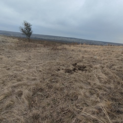 В Октябрьском районе нашли артиллерийские снаряды времен гражданской войны