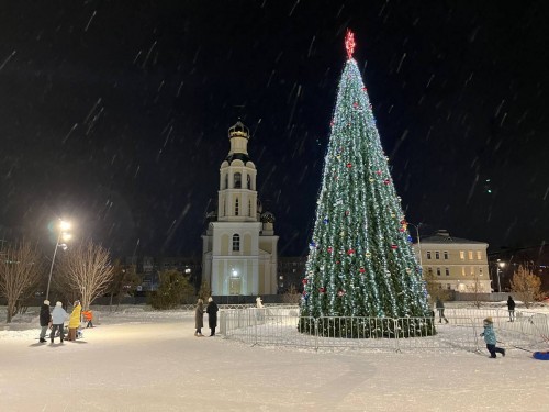 Елка из Бузулука прошла в финал Всероссийского конкурса «Елки России»