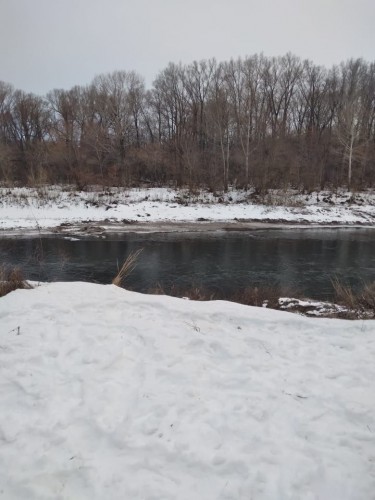 В Саракташском районе задержан рыбак-браконьер с электроудочкой В Саракташском районе задержан рыбак-браконьер с электроудочкой