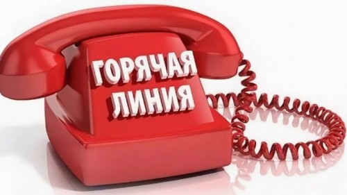 В Оренбуржье начала работу горячая линия для участников форума «Евразия Global» В Оренбуржье начала работу горячая линия для участников форума «Евразия Global»