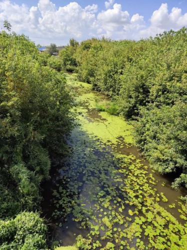 В конце августа в Тоцком начнут очищать русло реки Сорока В конце августа в Тоцком начнут очищать русло реки Сорока