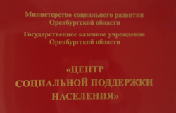 В Оренбурге центр соцподдержки отказался принимать заявление на пособие при рождении двойни
