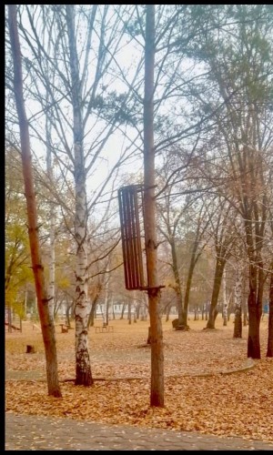 В Саракташе молодые люди бросали скамейки, чтобы проверить свою силу В Саракташе молодые люди бросали скамейки, чтобы проверить свою силу
