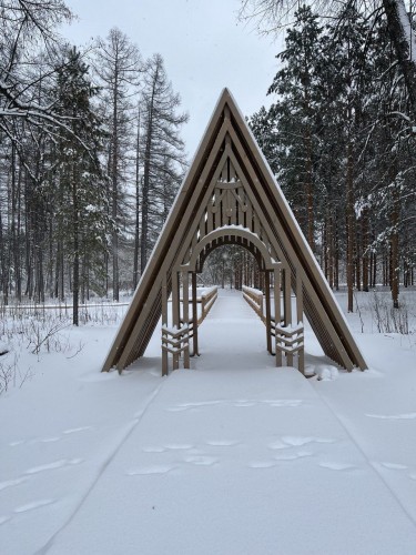 В Бузулукском бору обустраивают новые маршруты