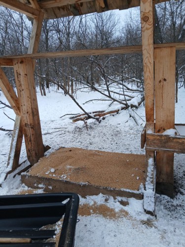 В Бузулукском бору для поддержки животных развезли почти 30 тонн корма