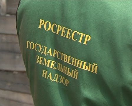 Госземинспекторы консультируют оренбуржцев с помощью мобильного приложения