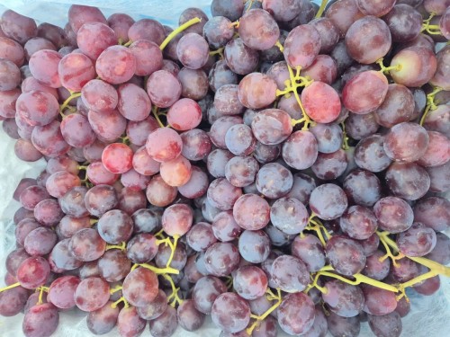 В Оренбуржье с начала года задержали более 200 тонн зараженных овощей и фруктов