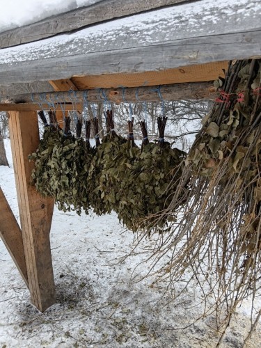 Питомцев Бузулукского бора подкармливают "банными вениками"