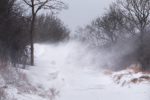 Губернатор Оренбуржья сообщил о рекордном снегопаде Губернатор Оренбуржья сообщил о рекордном снегопаде
