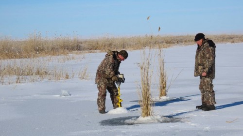 В Оренбуржье проходит акция по спасению рыбы в водоёмах «Глоток воздуха»