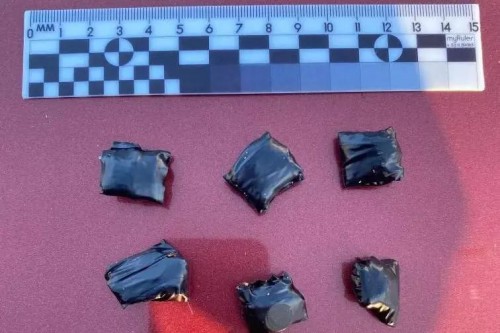 В Оренбурге при поддержке бойцов Росгвардии задержаны предполагаемые наркосбытчики