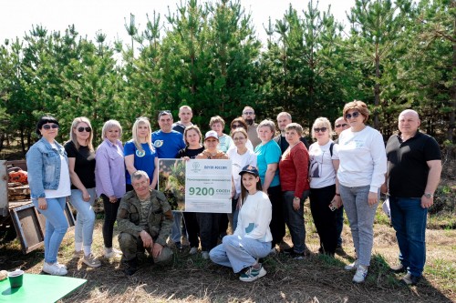 Благодаря пожертвованиям оренбуржцев в Пономарёвком районе растёт лес из 9 000 сосен Благодаря пожертвованиям оренбуржцев в Пономарёвком районе растёт лес из 9 000 сосен