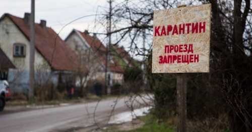 Карантин по бешенству ввели в Соль-Илецком округе и Саракташском районе Карантин по бешенству ввели в Соль-Илецком округе и Саракташском районе