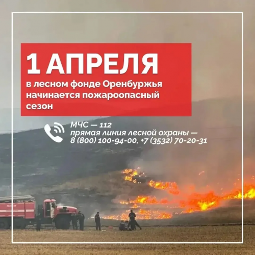 В Оренбуржье наступила пора повышенной пожарной опасности В Оренбуржье наступила пора повышенной пожарной опасности