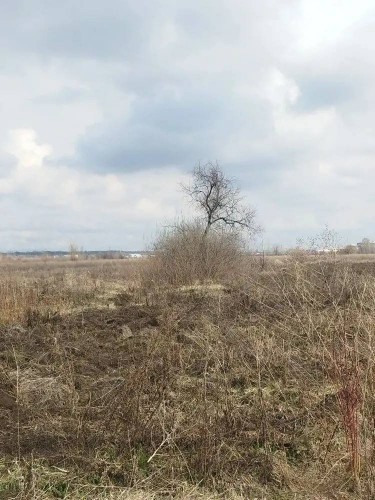 В Оренбурге местная жительница нашла гранату