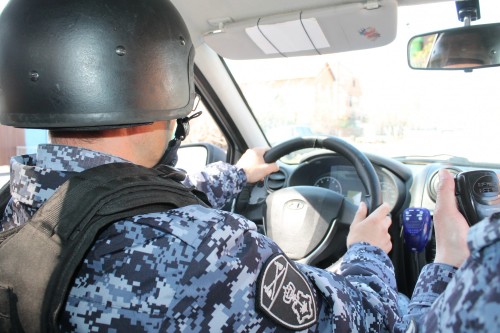 Росгвардейцы задержали двоих молодых людей похитивших товар из магазина