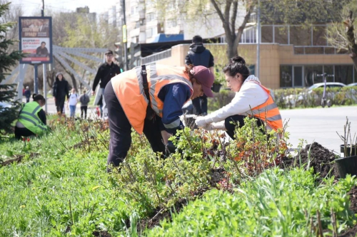 Оренбург засаживают различными цветами
