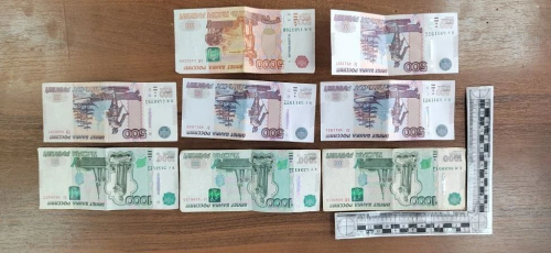 В Оренбуржье задержали мошенника обманывавшего пенсионеров под предлогом ремонта окон 