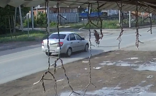В Бугурусланском районе девочка выбежала на дорогу перед автомобилем
