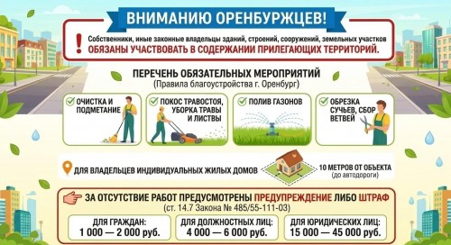 Жителей Оренбурга будут штрафовать за "неухоженные" придомовые участки