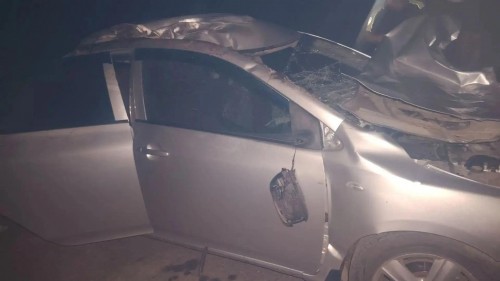 В Первомайском районе автоледи сбила лошадь