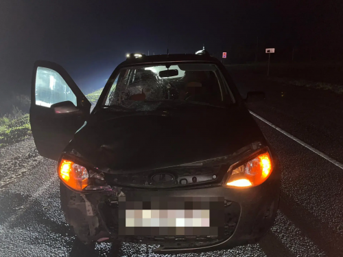 В Красногвардейском районе пешеход без светоотражателей погиб под колёсами «Лады Калины»