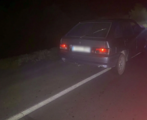 В Домбаровском районе автомобиль насмерть сбил 74-летнюю пенсионерку на трассе