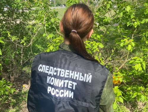 В Бузулукском районе возбуждено дело после гибели электромонтёра на ЛЭП