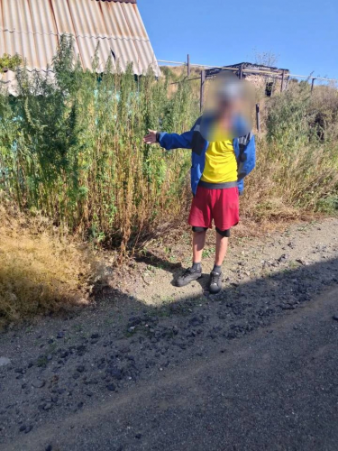 В Медногорске полицейские изъяли у местного жителя крупную партию марихуаны