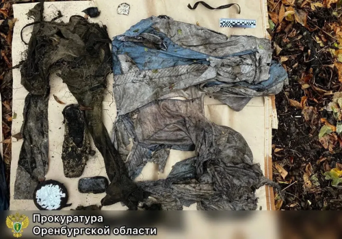 Бугурусланский маньяк осуждён на 18 лет за убийство шести женщин