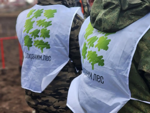 В Оренбуржье стартовала лесовосстановительная акция «Сохраним лес»