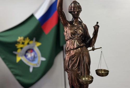 В Тюльганском районе 17‑летнего юношу осудили за особо тяжкое преступление