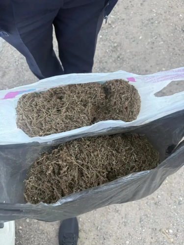 В Переволоцком районе пресечена крупная партия наркотиков