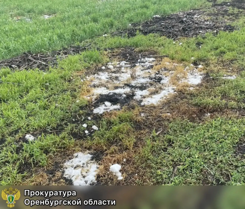 Прокуратура требует взыскать 300 тыс. рублей за загрязнение земельного участка