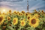 «Газпромнефть-Оренбург» развивает экологическое партнерство