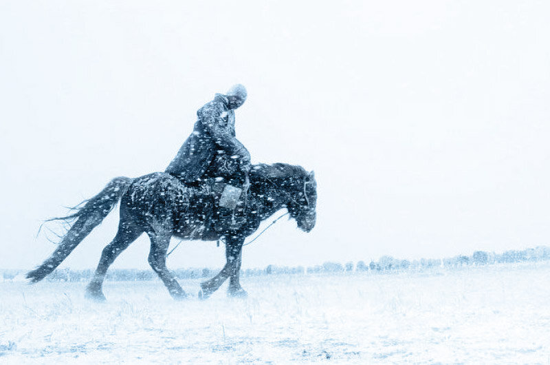 На коне в снегу. Всадник зимой. Мужчина на лошади зимой. Всадник на коне зимой. Всадник на лошади зимой.