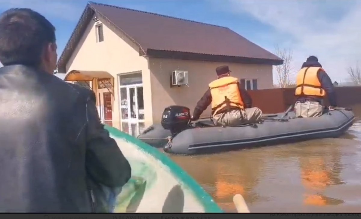 В Оренбурге полицейские помогли забрать документы из затопленных домов и  спасли кошку | 17.04.2024 | Новости Оренбурга - БезФормата