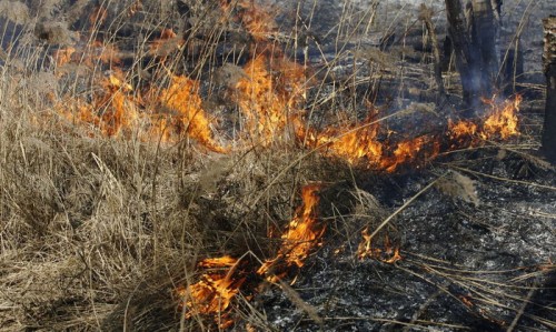 Накануне вечером в Октябрьском районе горела сухая трава