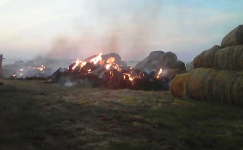 В Илекском районе сгорело 500 центнеров сена