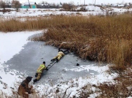 В Оренбуржье зафиксирован антирекорд по гибели людей на водоёмах