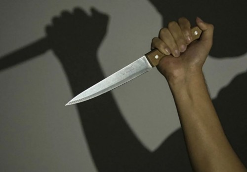 В Орске молодой человек нанес матери удары ножом в живот, висок и выпрыгнул из окна