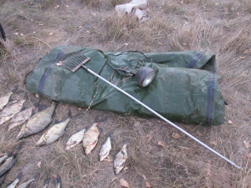 Сотрудники ОГИБДД ОМВД России по Саракташскому району задержали браконьеров