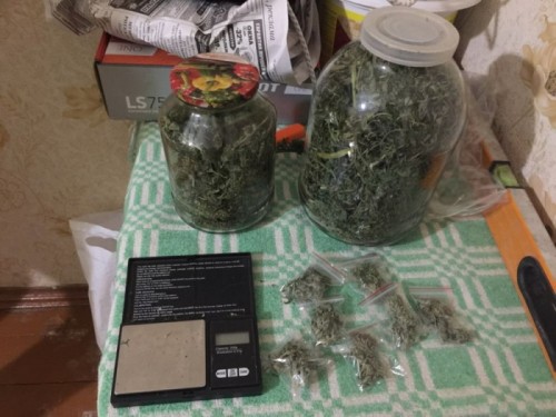 У жителя Соль-Илецка изъяли две стеклянные банки с коноплей 