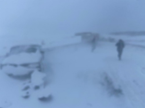 В Переволоцком районе столкнулись семь автомобилей – есть пострадавшие В Переволоцком районе столкнулись семь автомобилей – есть пострадавшие