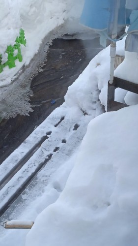 В Оренбурге на улице Набережная Сакмары вода затопила дом по самые окна