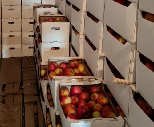 В Орске таможенники изъяли 15 тонн фруктов сомнительного происхождения