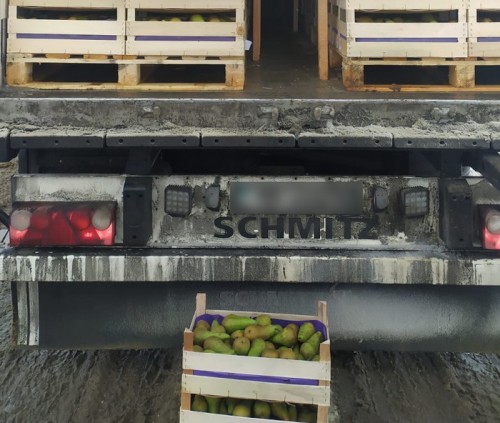 В Оренбургскую область пытались ввезти 19 тонн санкционных бельгийских груш