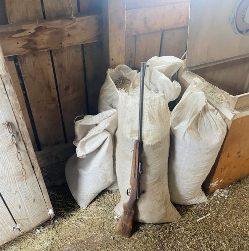 В Кваркено полицейские изъяли карабин и патроны В Кваркено полицейские изъяли карабин и патроны