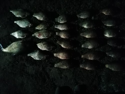В Кваркенском районе на Ириклинском водохранилище сотрудниками полиции задержан браконьер
